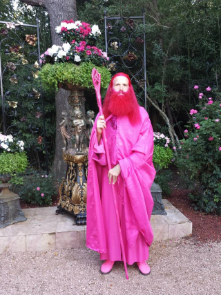Illustration for article titled Gandalf the Fuchsia, Pet-o-ween and Krang, all on io9's Costume Show
